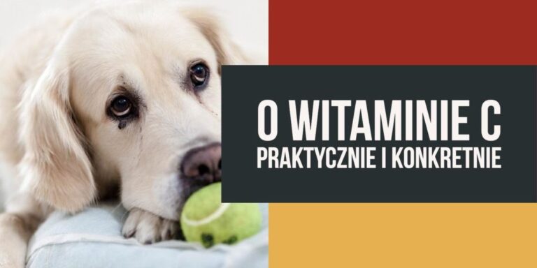 Cała prawda o witaminie C: ile jej potrzebujesz, skąd ją brać i jaką wybrać