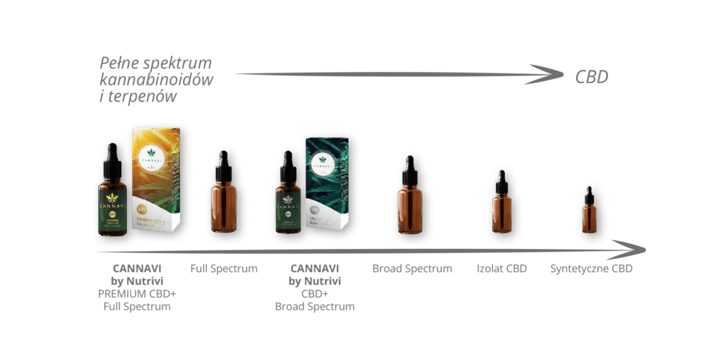 Gamą olejków CBD na rynku